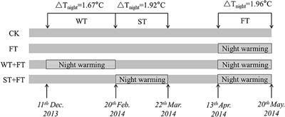 Night-Warming Priming at the Vegetative Stage Alleviates Damage to the Flag Leaf Caused by Post-anthesis Warming in Winter Wheat (Triticum aestivum L.)